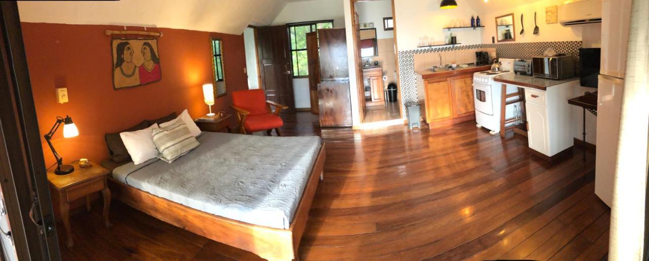 Cockatoo Studio Apartments مانويل أنطونيو المظهر الخارجي الصورة
