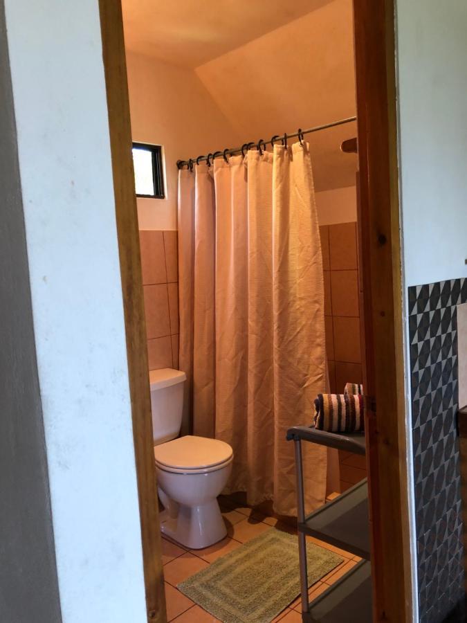 Cockatoo Studio Apartments مانويل أنطونيو المظهر الخارجي الصورة